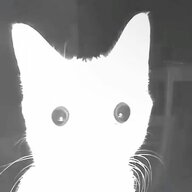 Roiscik
